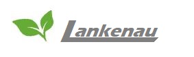 Torben Lankenau